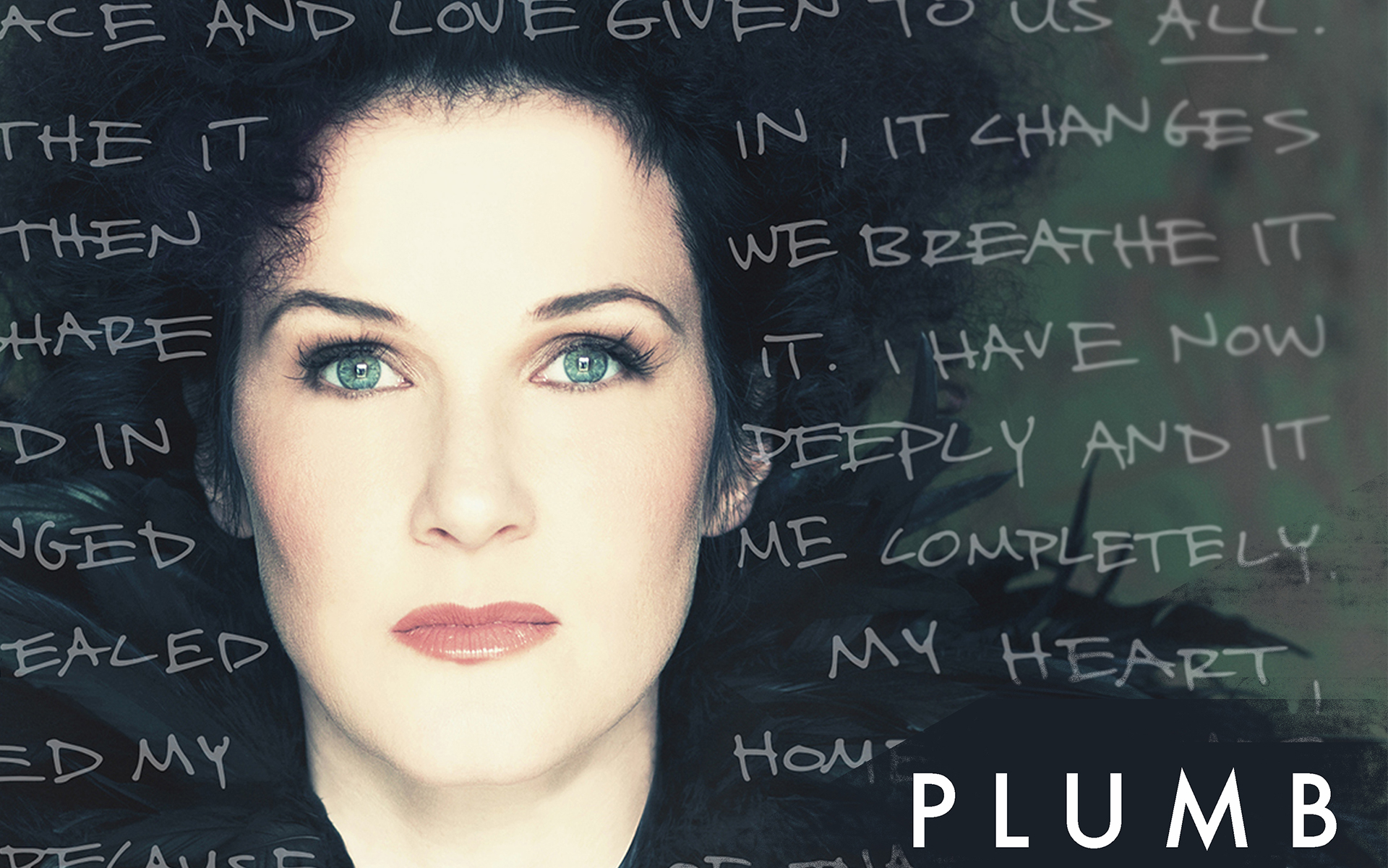 plumb-blog.jpg